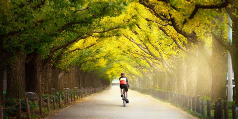 Cycling Japan: A Journey Through Land and Time – Capturing Ephemeral Moments and Unveiling Timeless Beauty