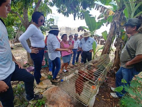 El Campo en las Nuestras Manos: A Journey Through Colombian Agrarian Wisdom and Cultural Tapestry