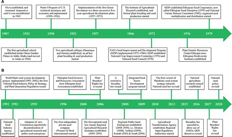 Seeds of Development: A Tale of Ethiopia's Economic Transformation through Agricultural Innovation